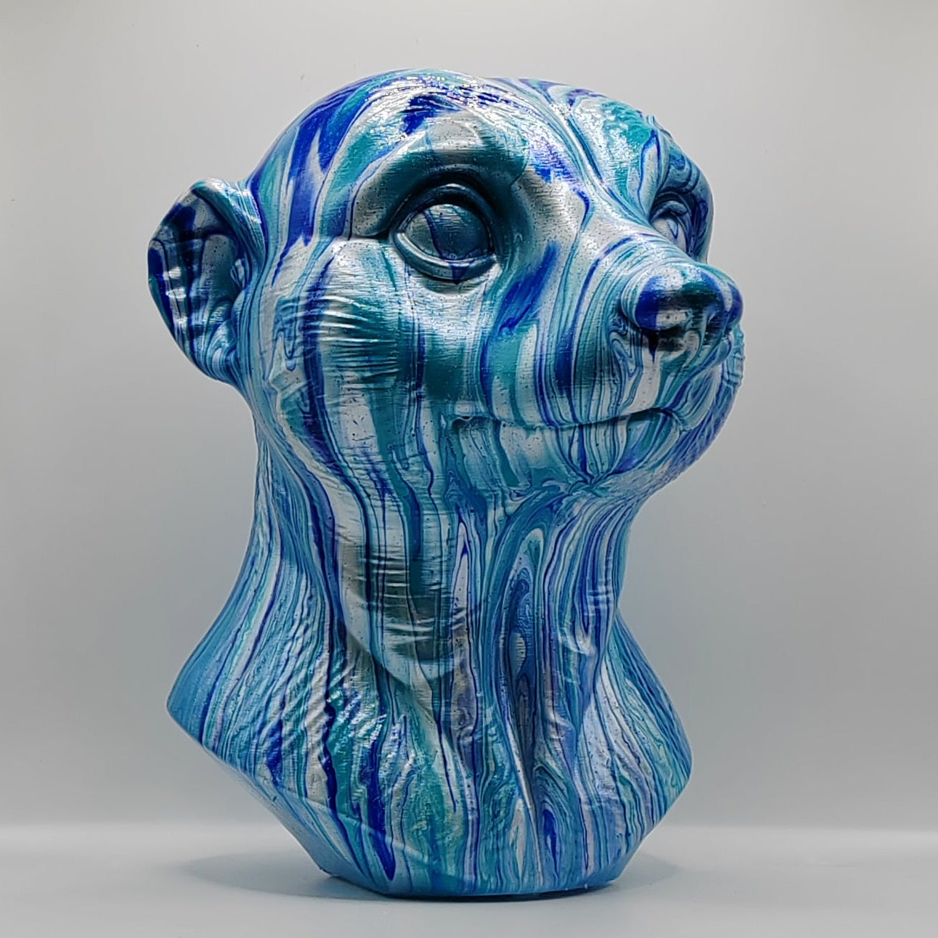 Meerkat Head – Hand Painted