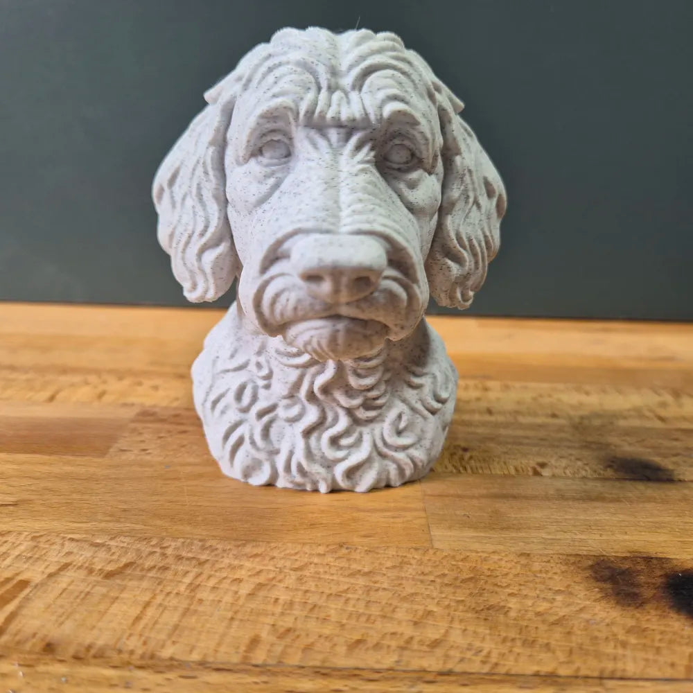 Labradoodle Bust