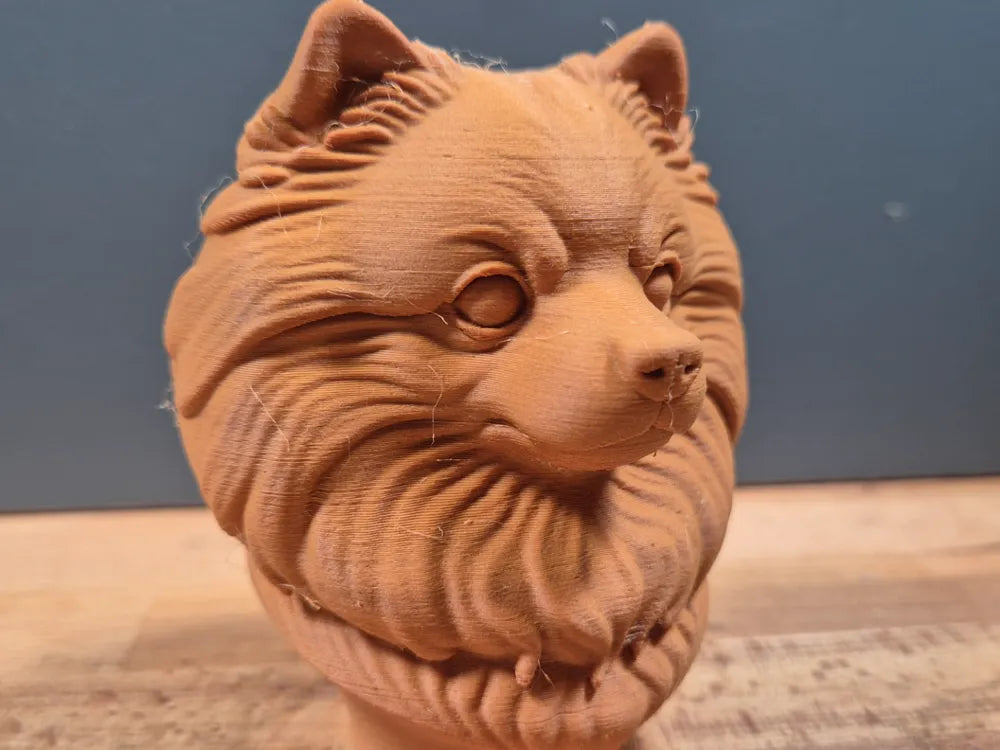 Pomeranian Bust