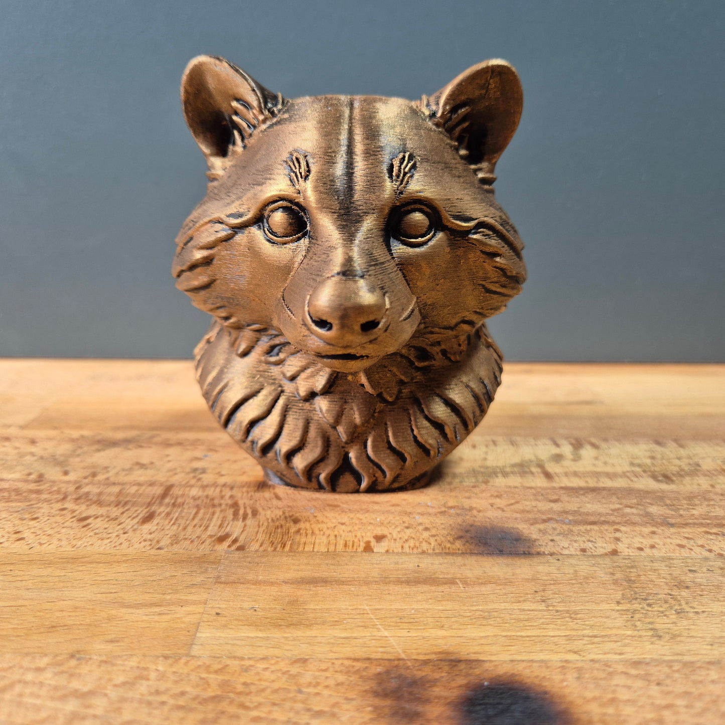 Raccoon Bust