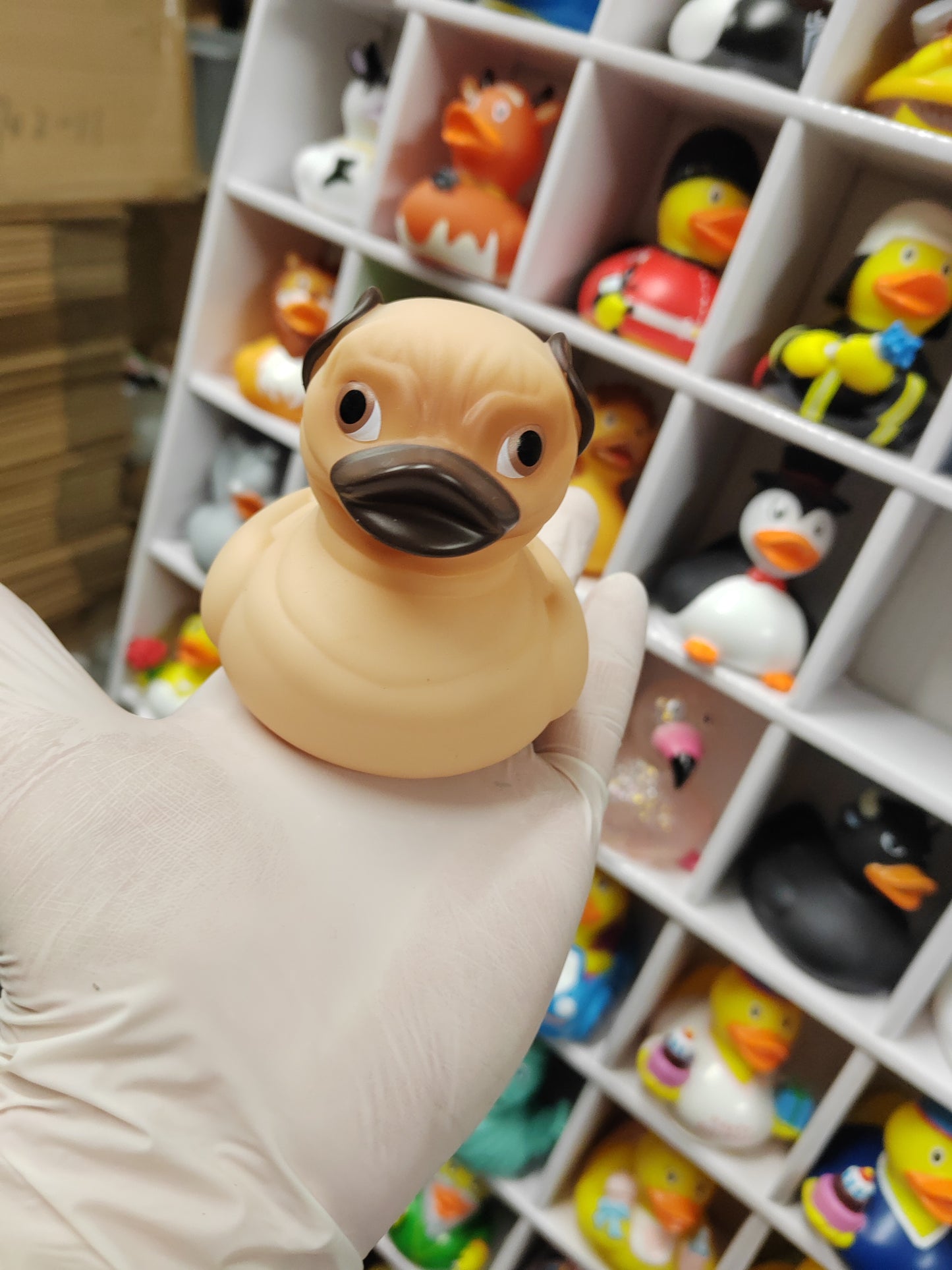 Pug duck