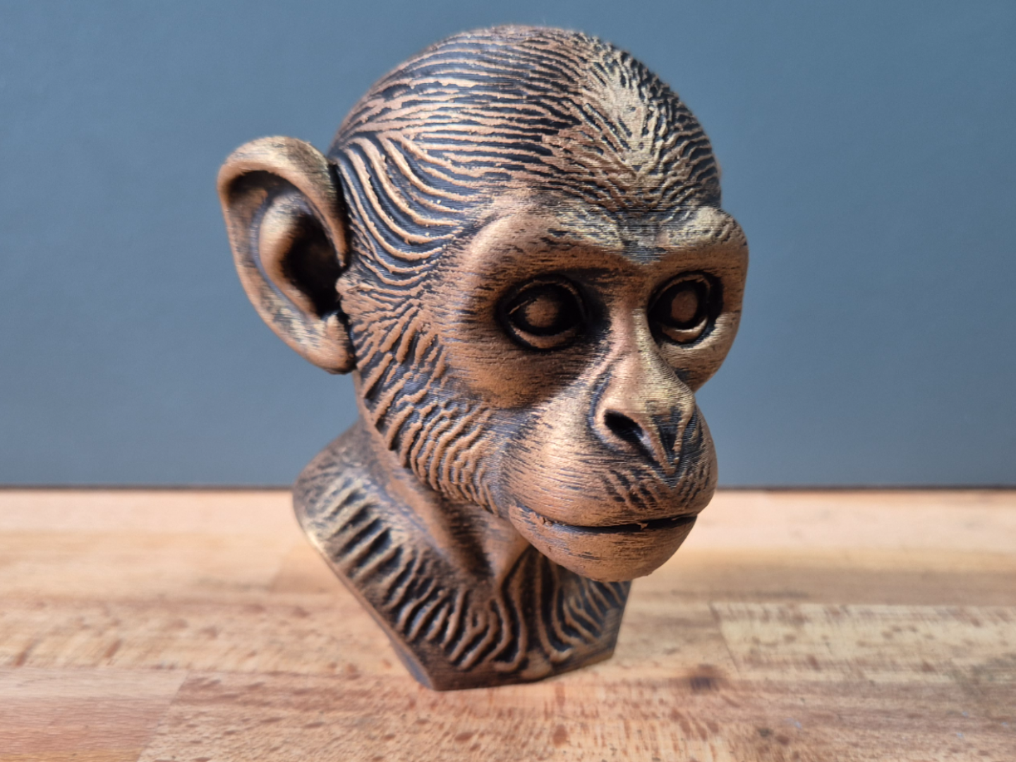 Saimiri Bust (Squirrel monkey)