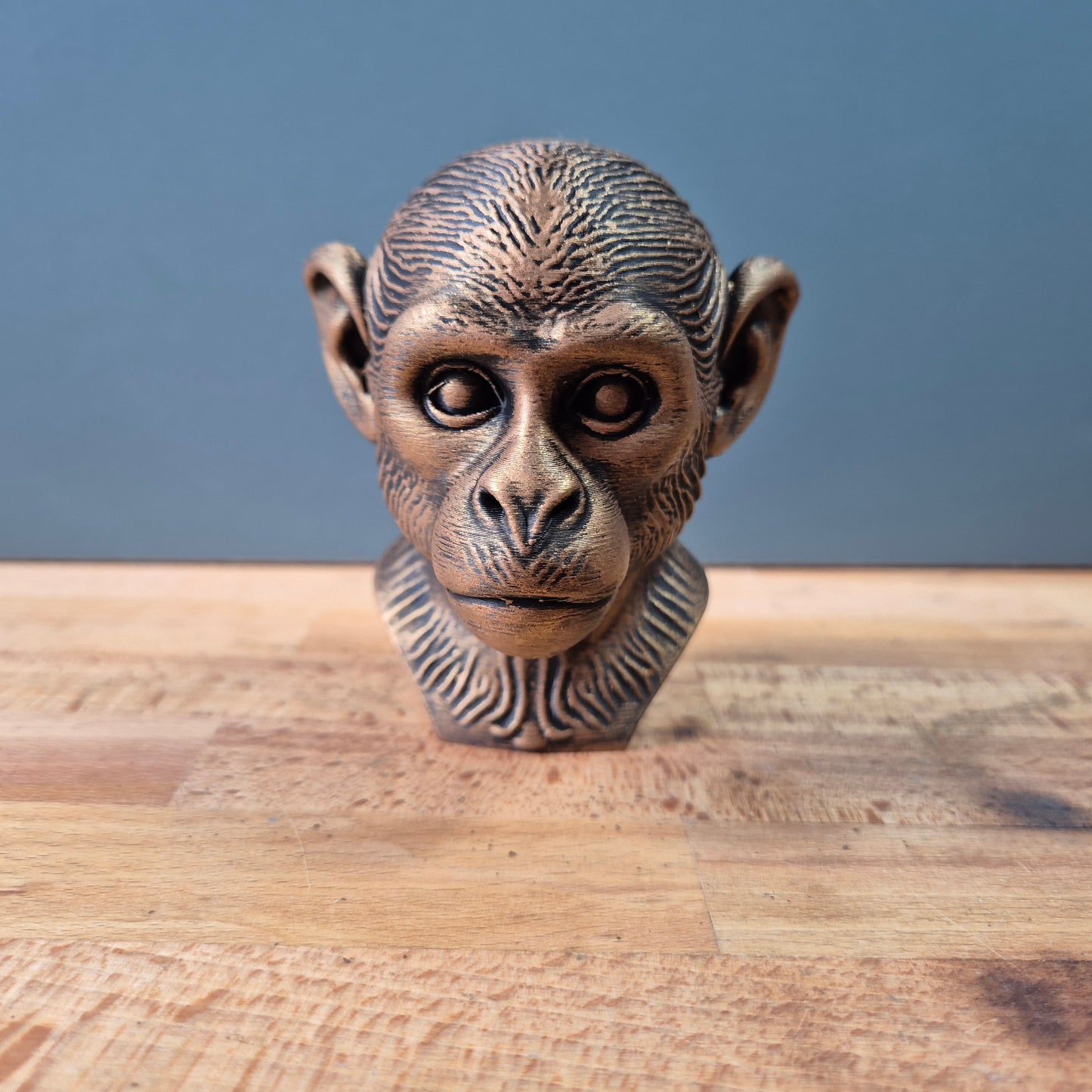 Saimiri Bust (Squirrel monkey)