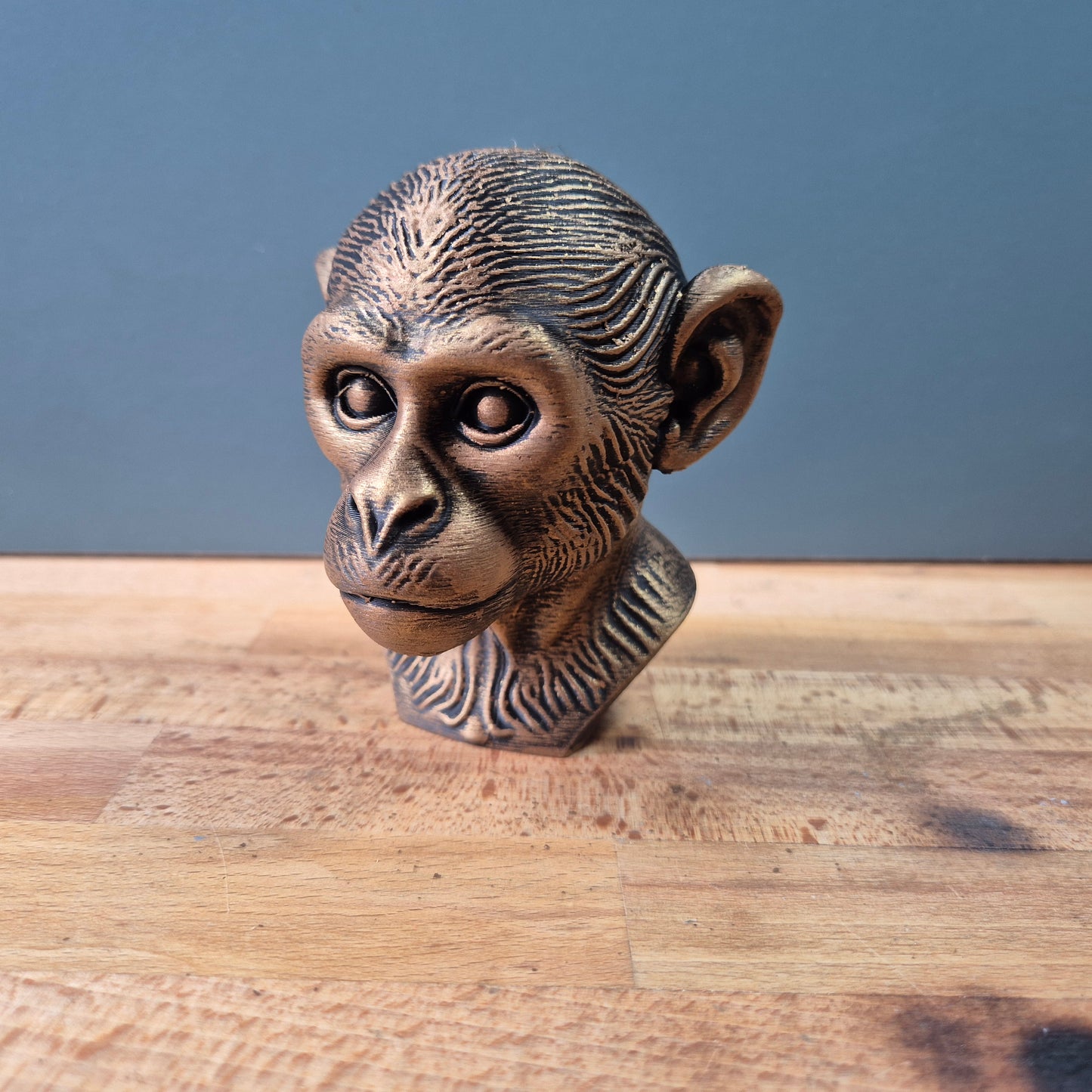 Saimiri Bust (Squirrel monkey)