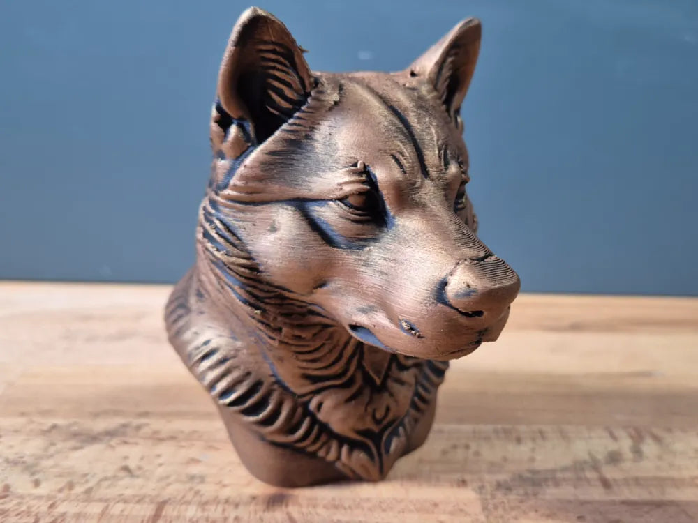 Shikoku Bust