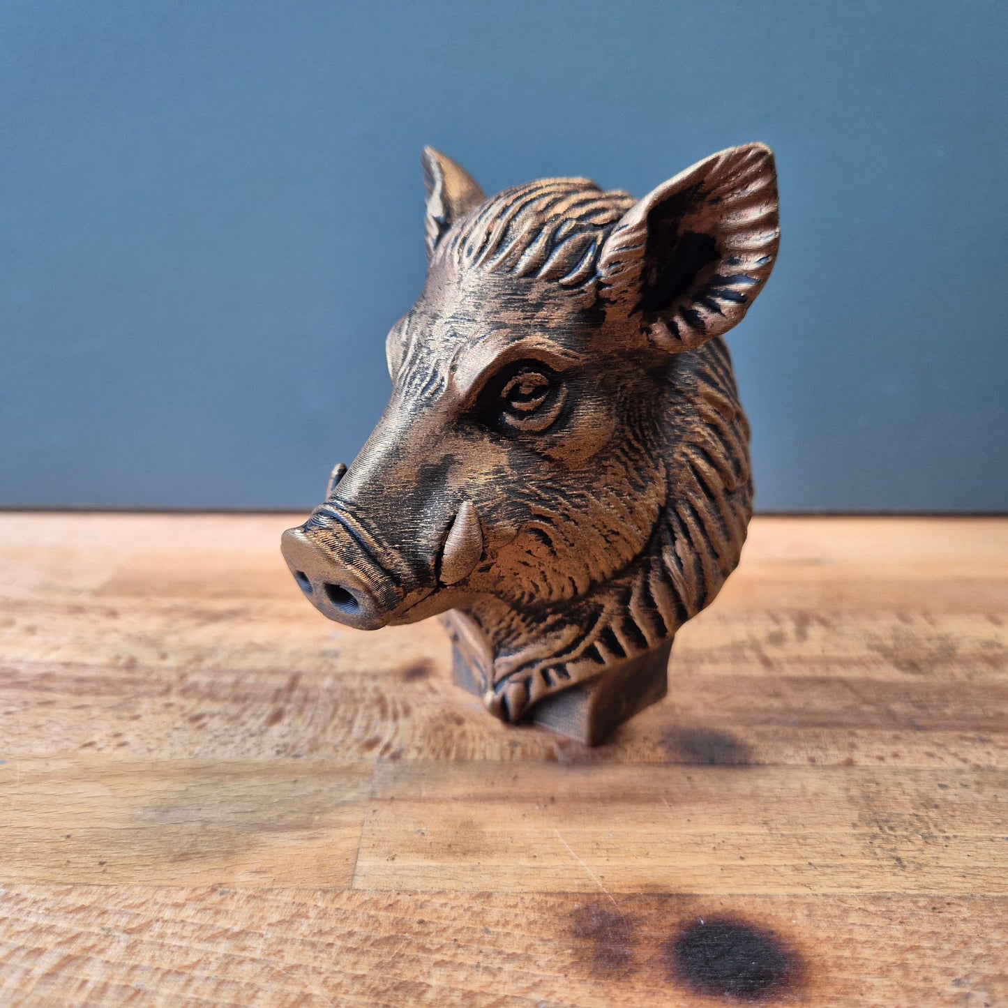 Wild Boar Bust