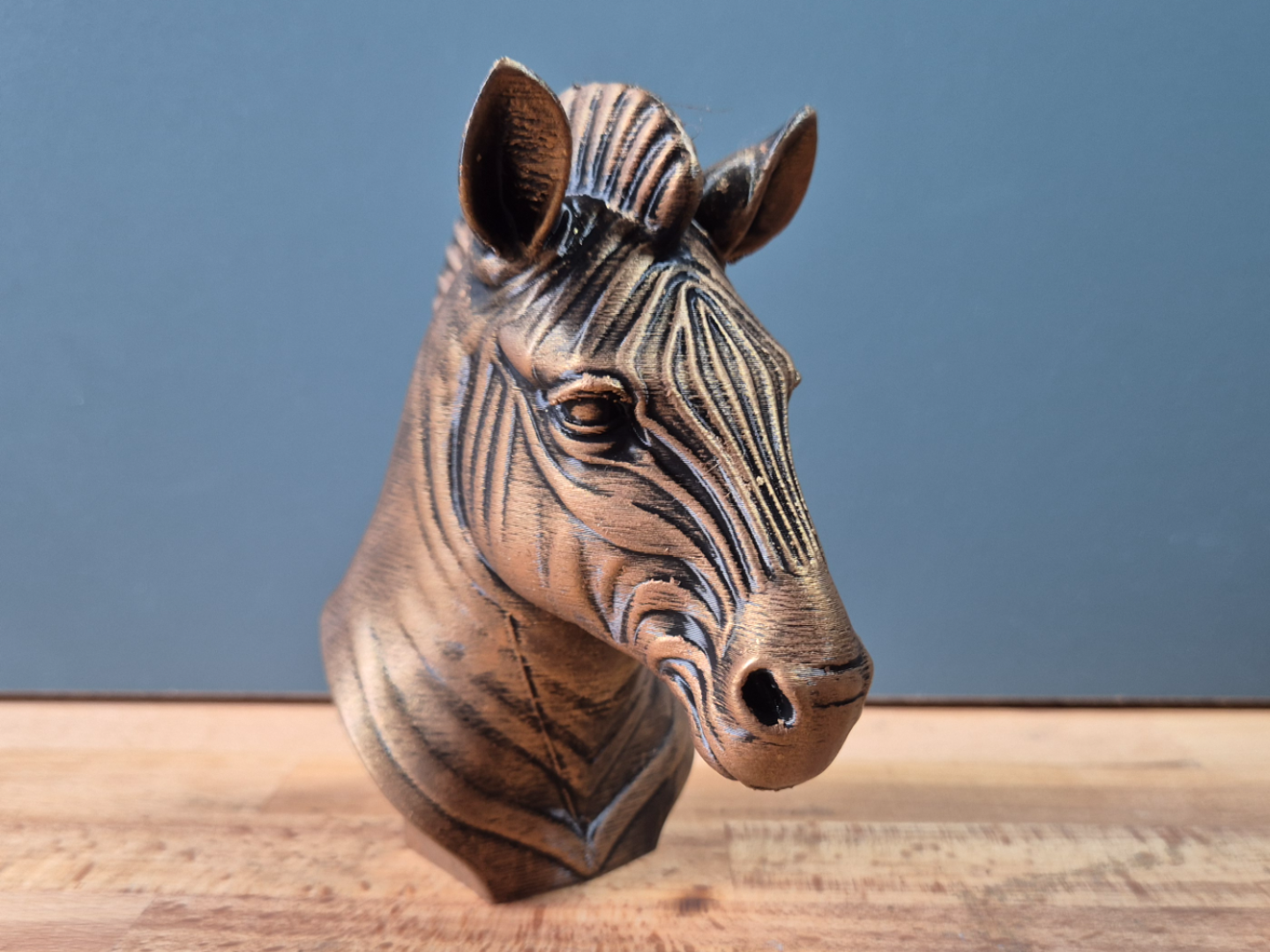 Zebra Bust