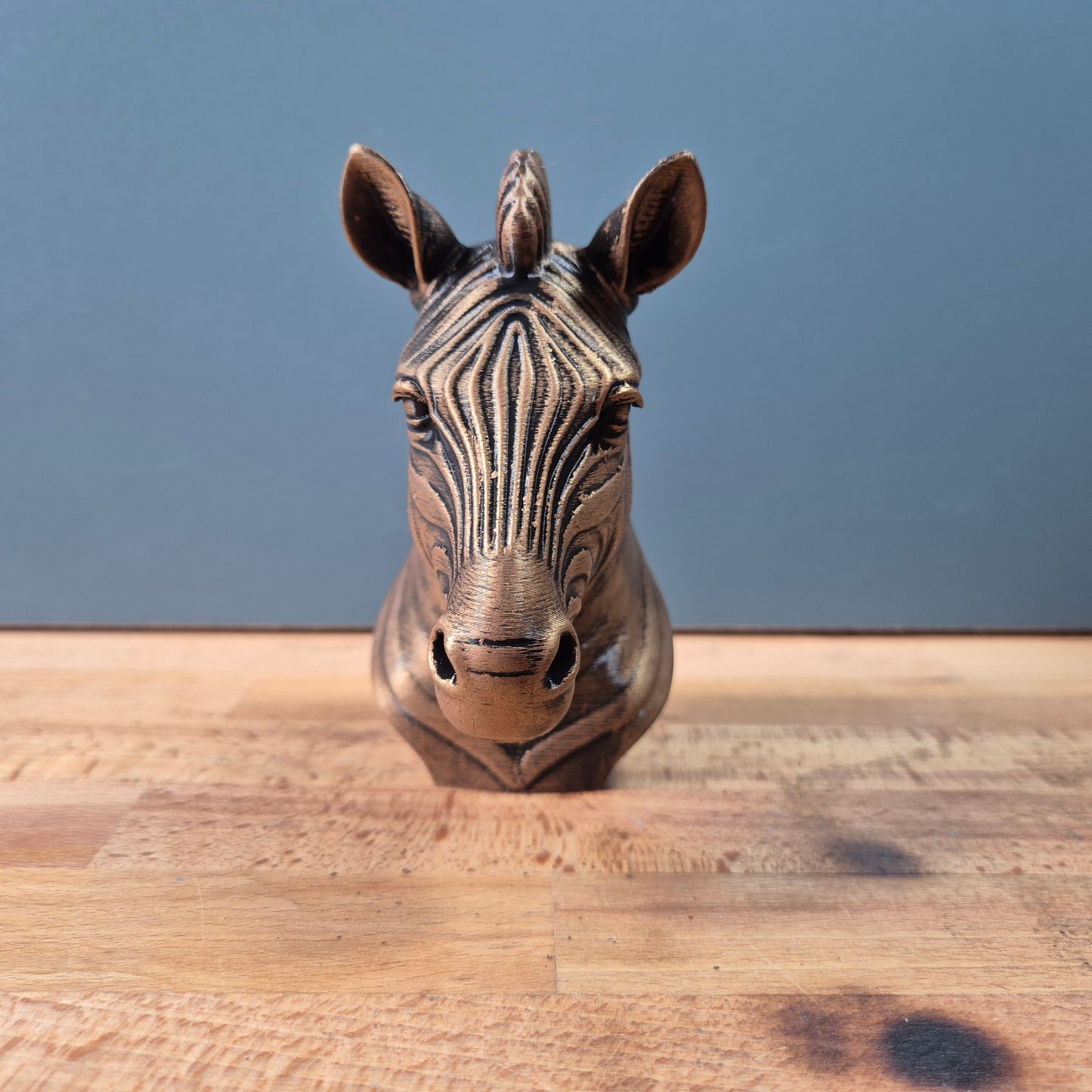 Zebra Bust