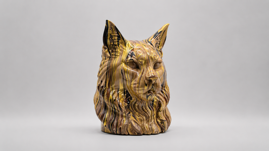 Maine Coon