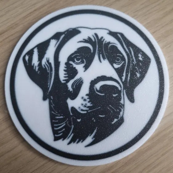 x4 Dog Coaster Set & Holder
