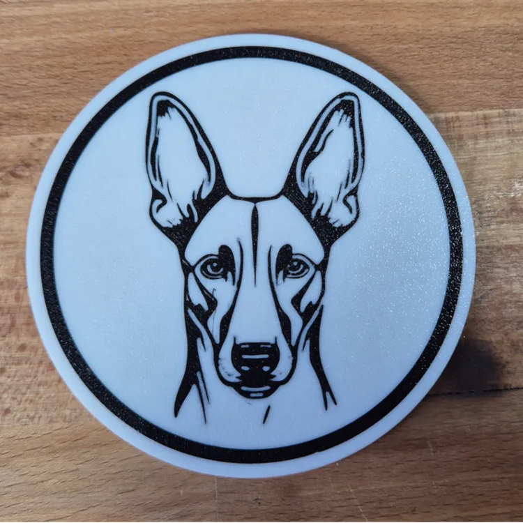 x4 Dog Coaster Set & Holder