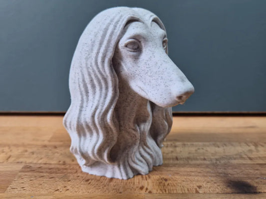 Afghan Hound Bust