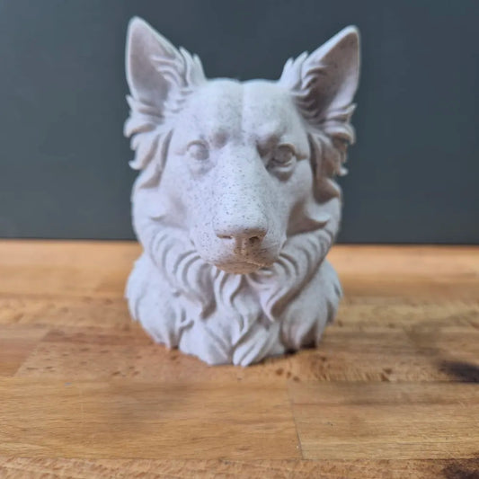 Australian Shepherd Bust