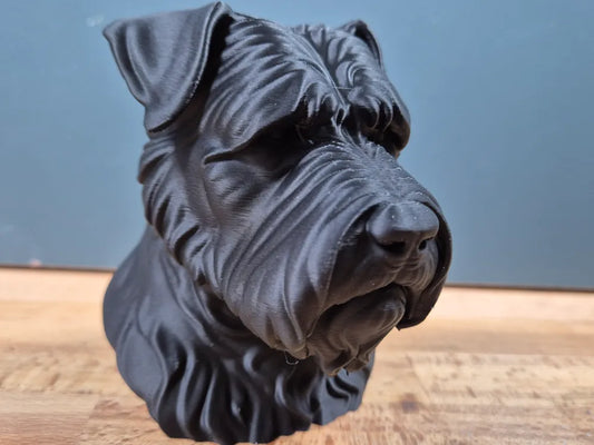 Bouvier des Flandres Bust