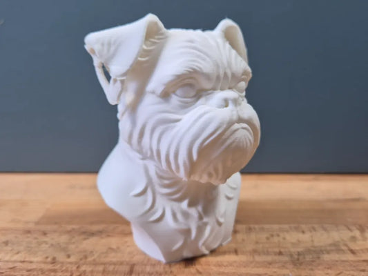 Brussels Griffon Bust