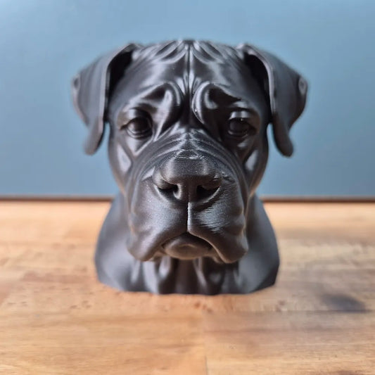 Cane Corso Bust