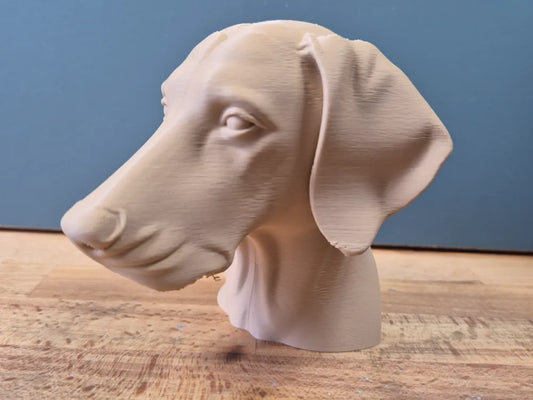 Doberman (natural ears) Bust