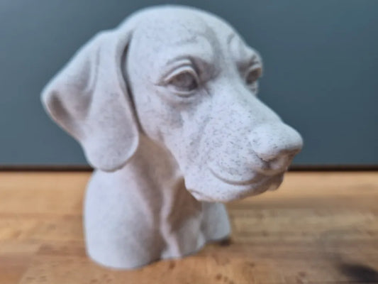 English Pointer Bust