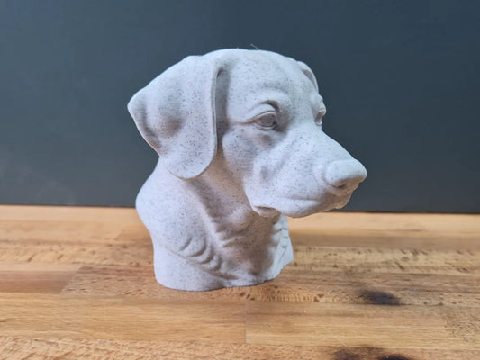 Entlebucher Mountain Dog Bust