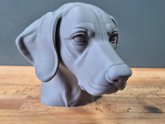 German Shorthaired Pointer Bust