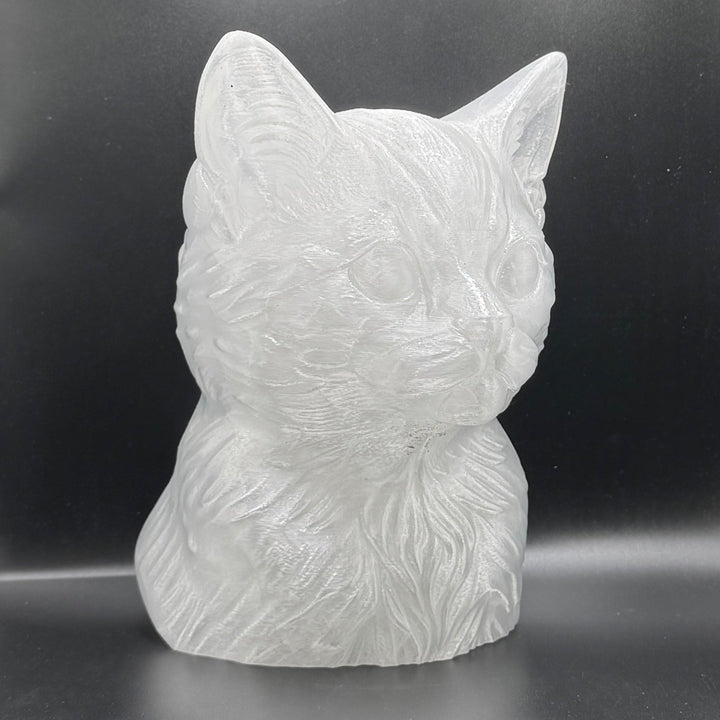 Paint Your Own Cat