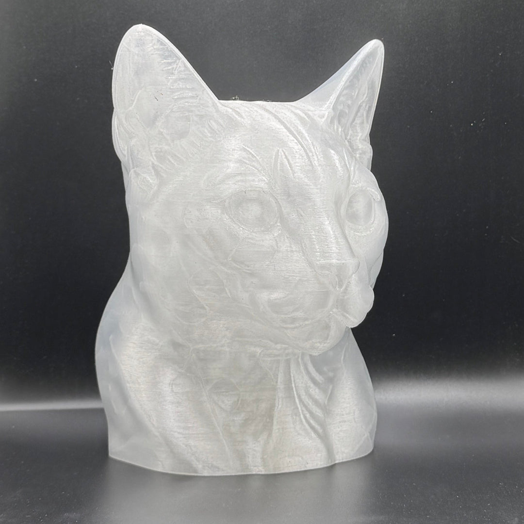 Paint Your Own Cat