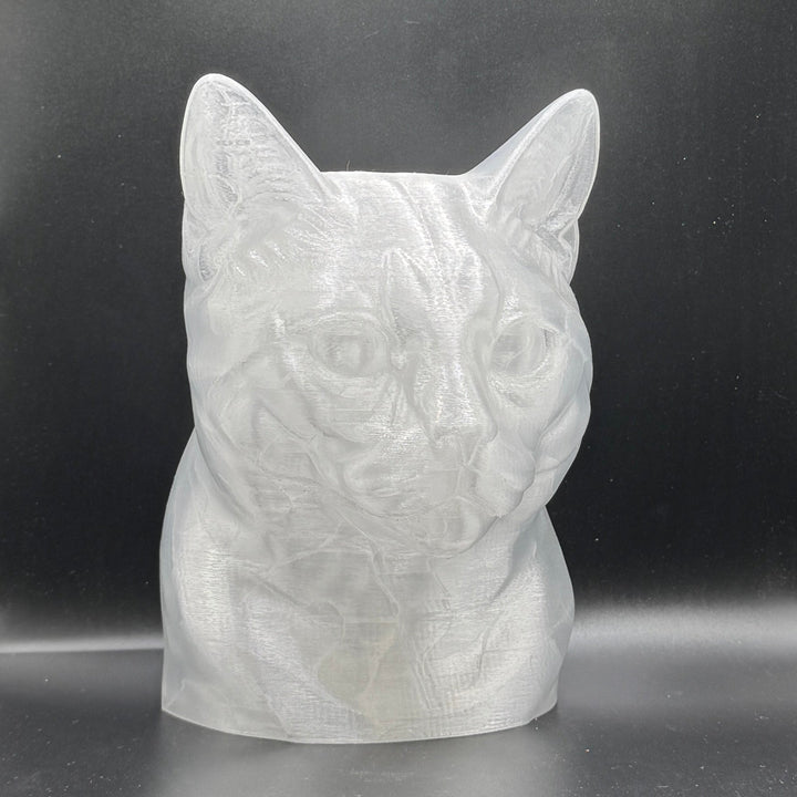 Paint Your Own Cat
