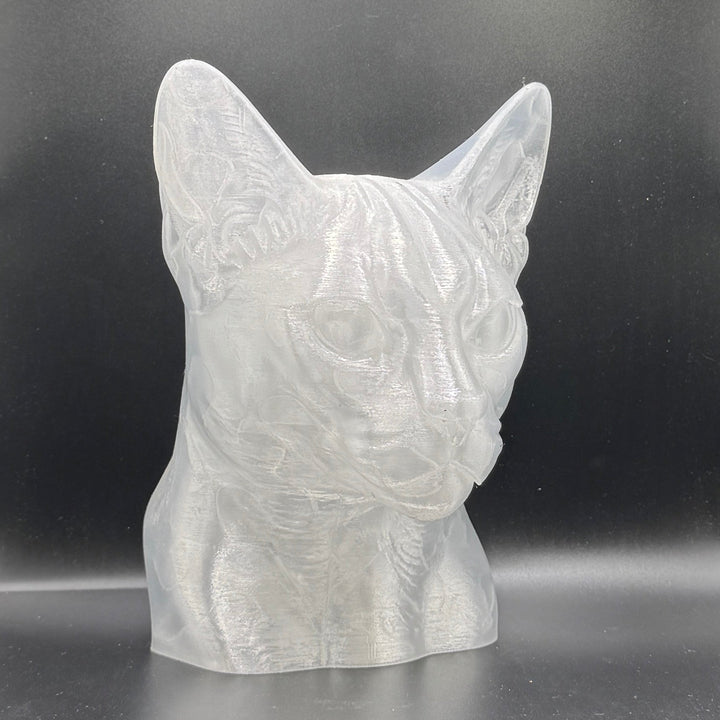 Paint Your Own Cat