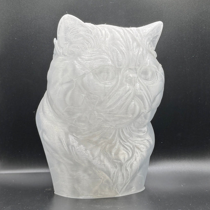 Paint Your Own Cat