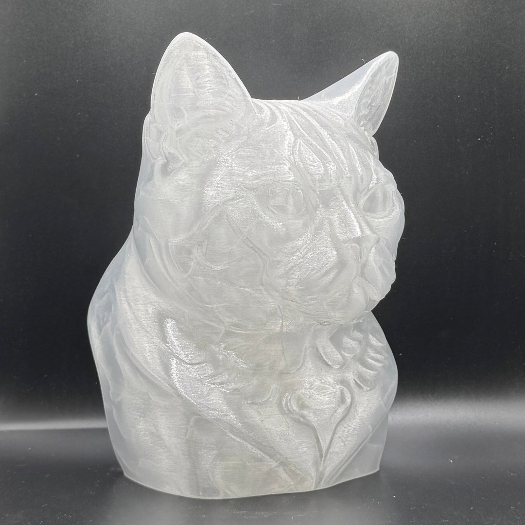 Paint Your Own Cat