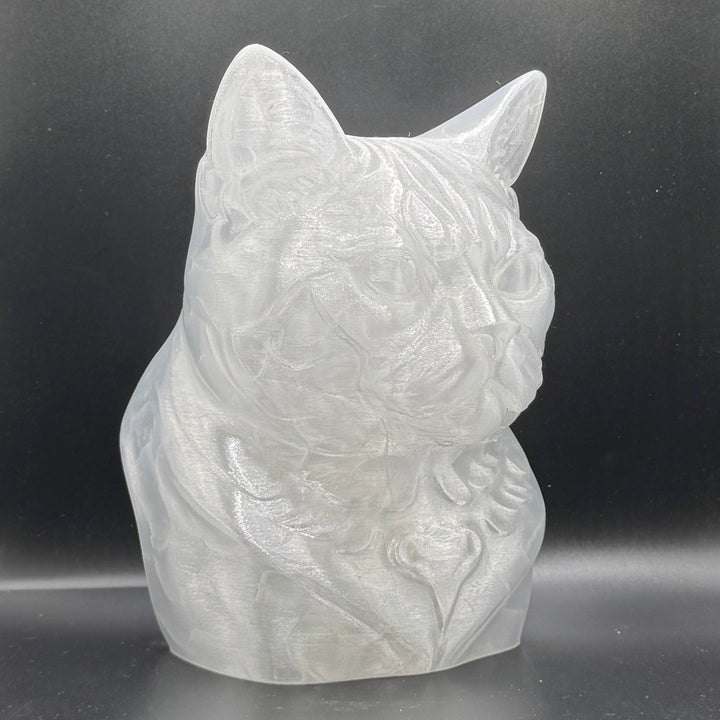 Paint Your Own Cat