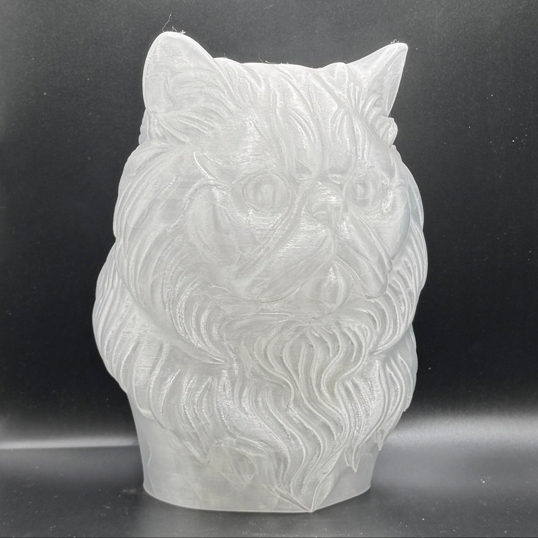 Paint Your Own Cat
