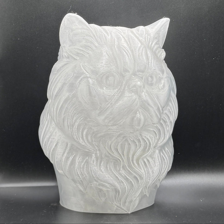 Paint Your Own Cat
