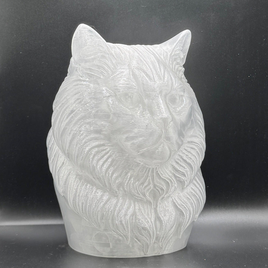 Paint Your Own Cat