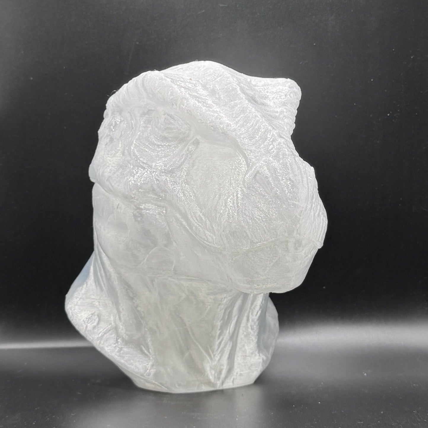 Blank Dinosaur Heads (UNPAINTED)