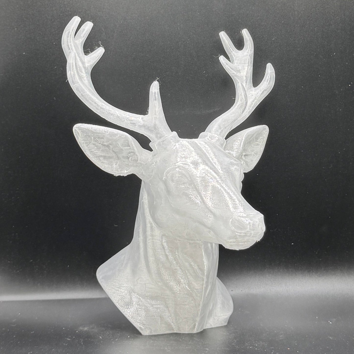 Blank Animal Heads (UNPAINTED)