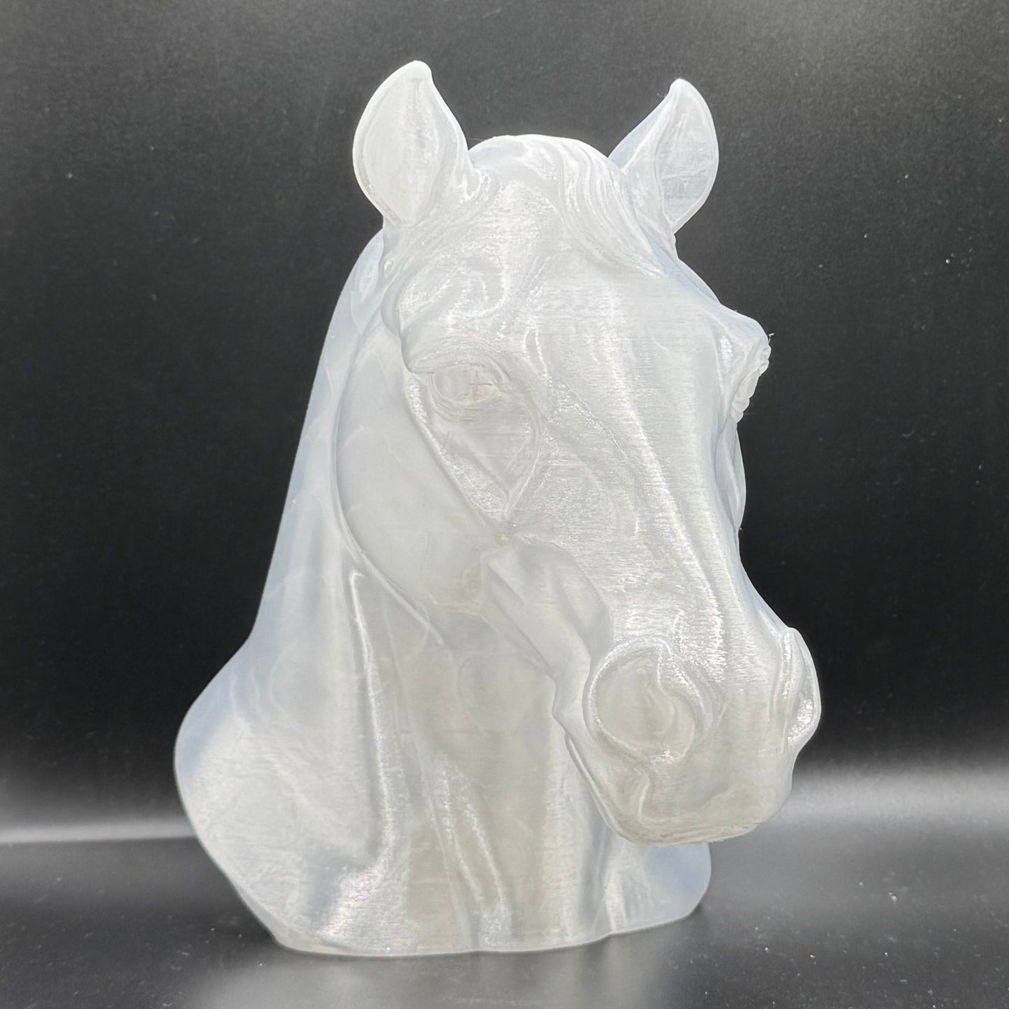 Blank Animal Heads (UNPAINTED)