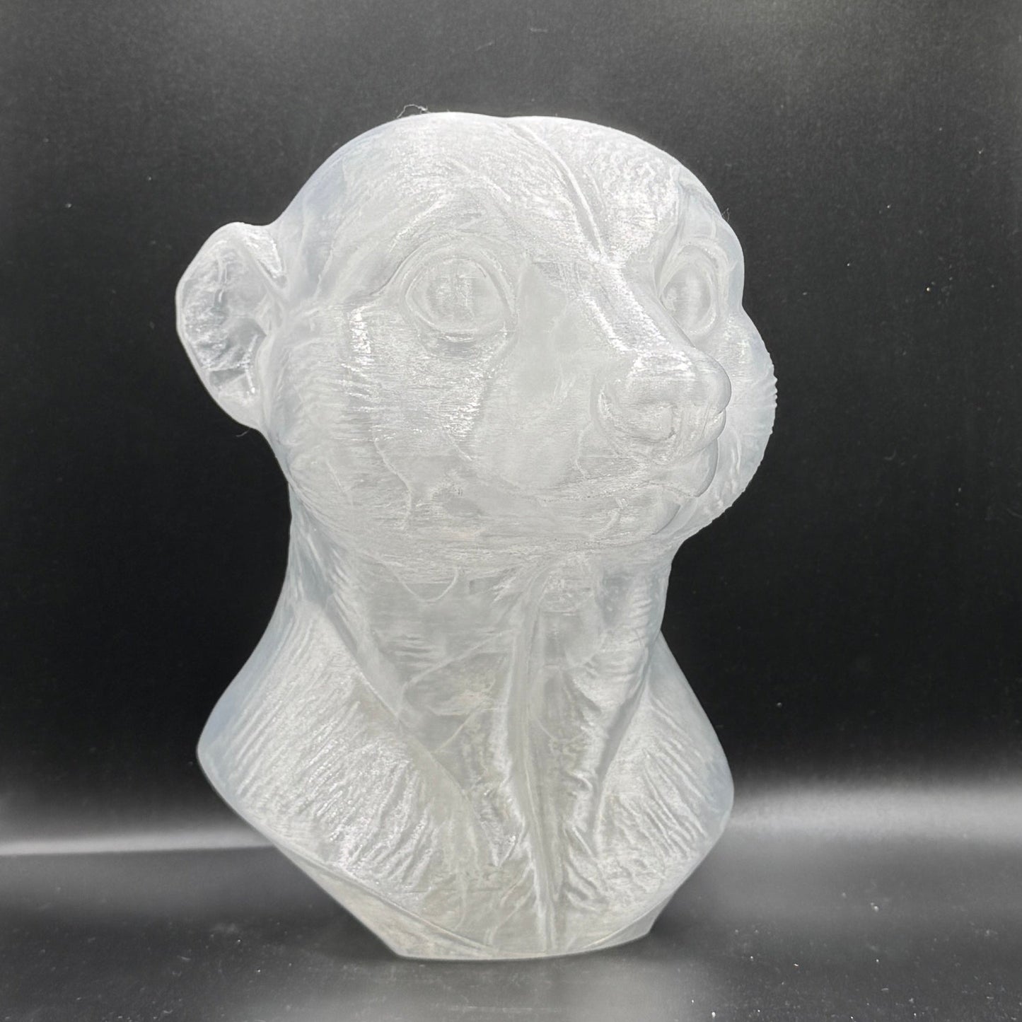 Blank Animal Heads (UNPAINTED)