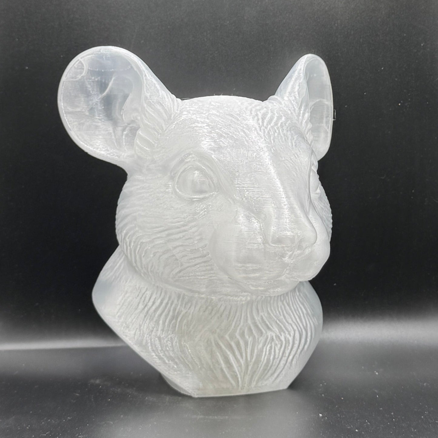 Blank Animal Heads (UNPAINTED)