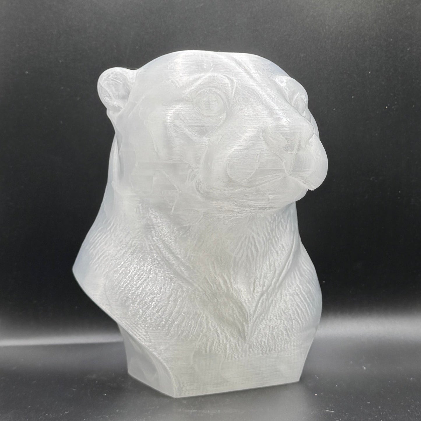 Blank Animal Heads (UNPAINTED)