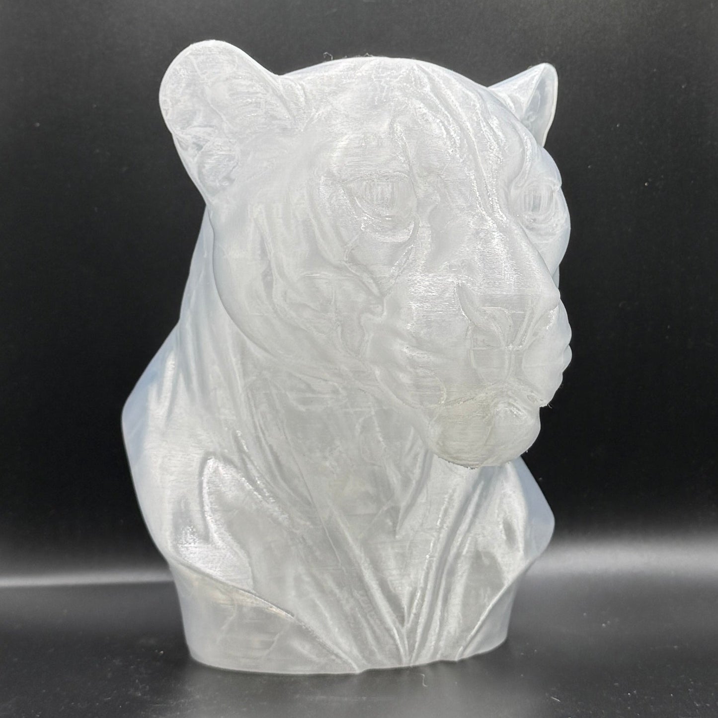 Blank Animal Heads (UNPAINTED)