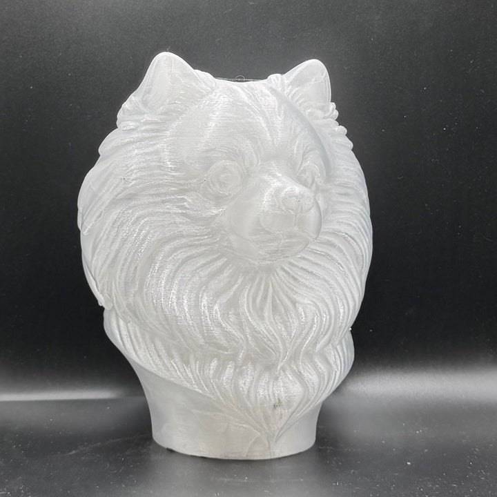 Paint Your Own Dog