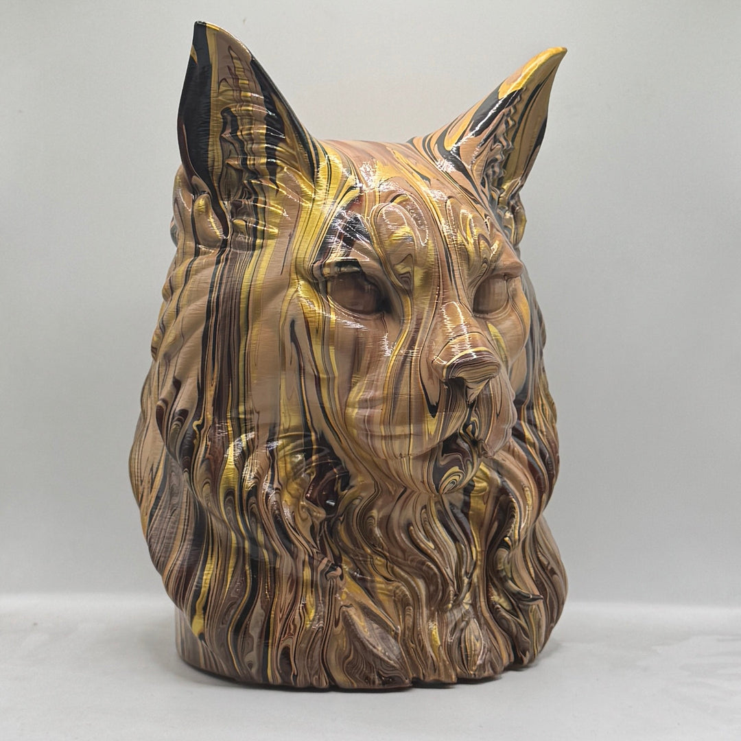Maine Coon Head – Hand Painted