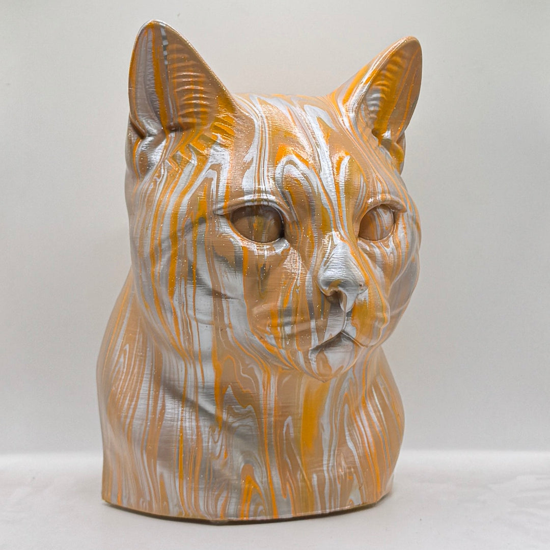 European Shorthair Head – Hand Painted