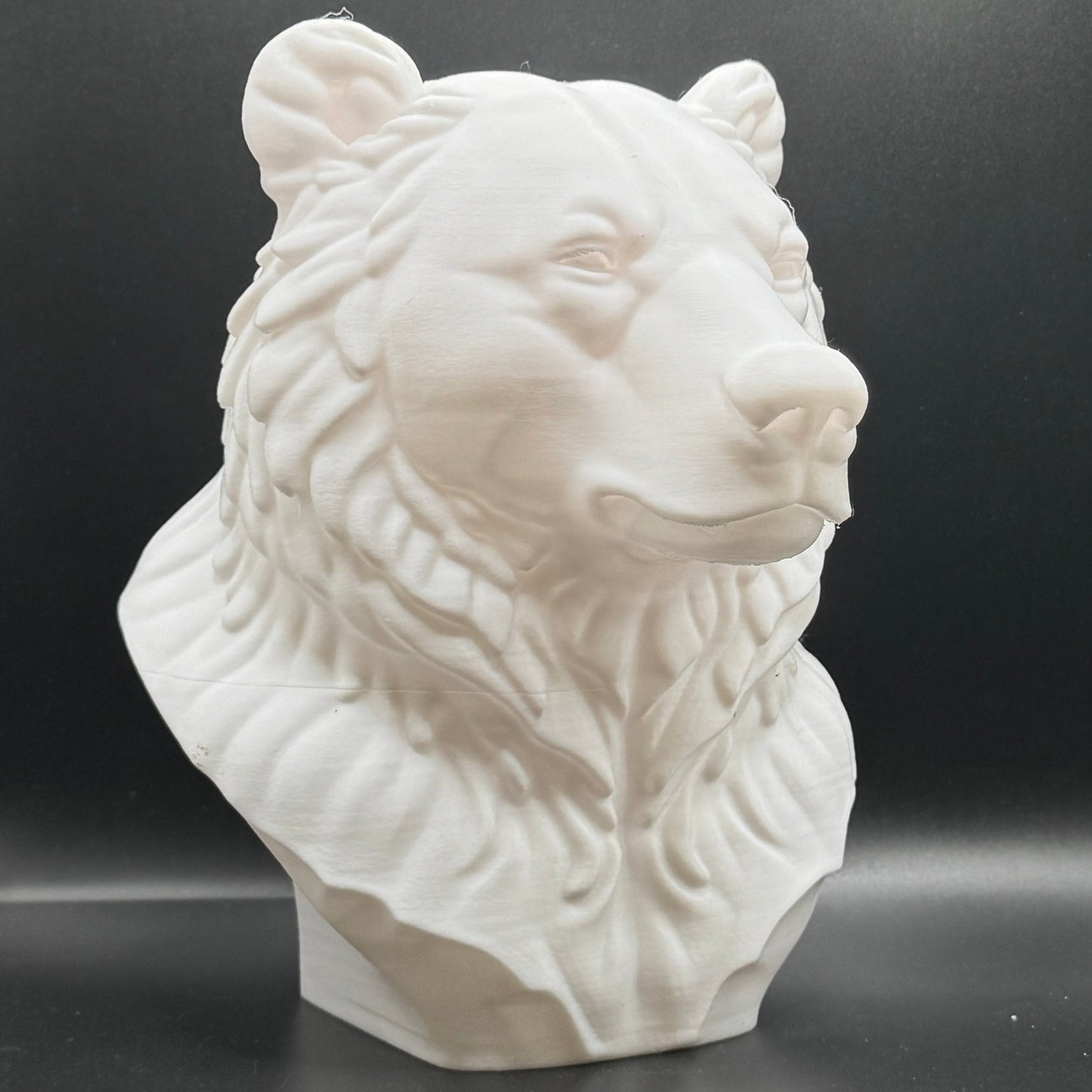 Blank Animal Heads (UNPAINTED)
