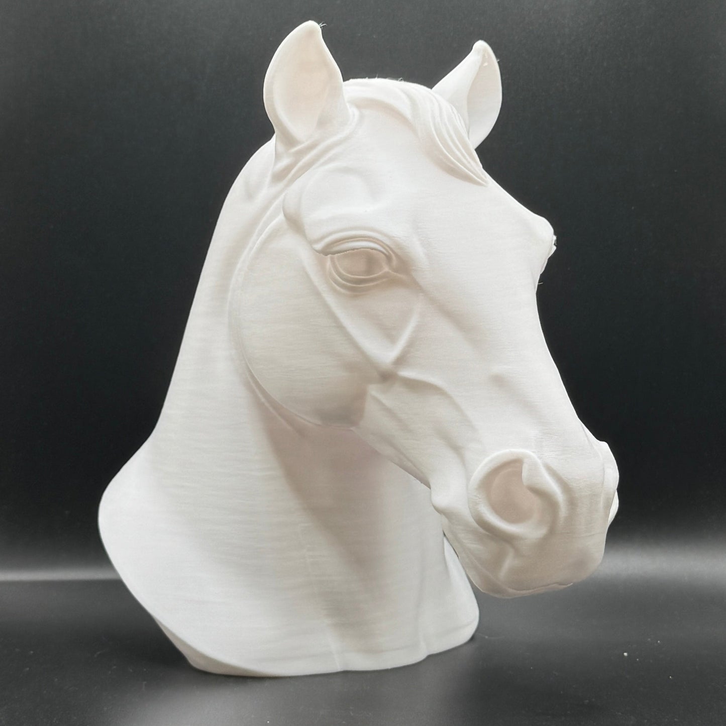 Blank Animal Heads (UNPAINTED)