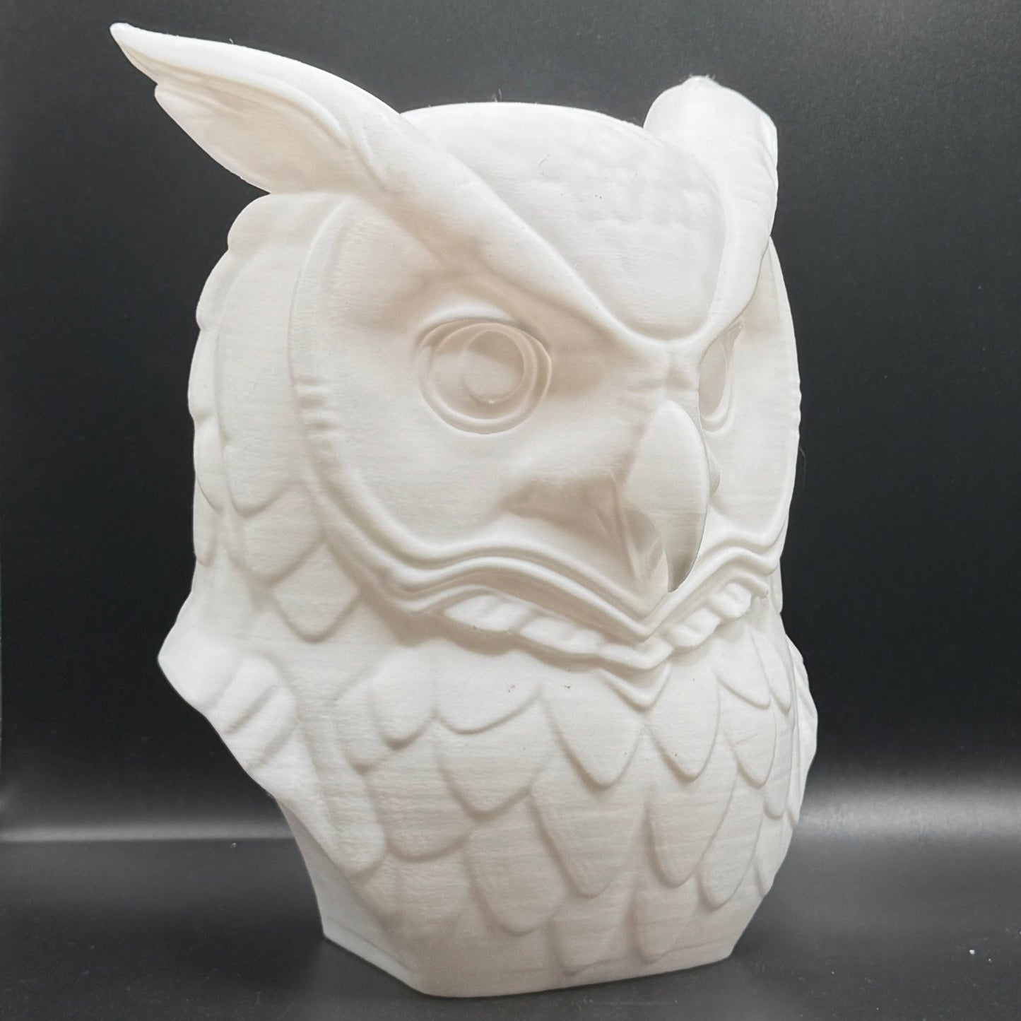 Blank Animal Heads (UNPAINTED)