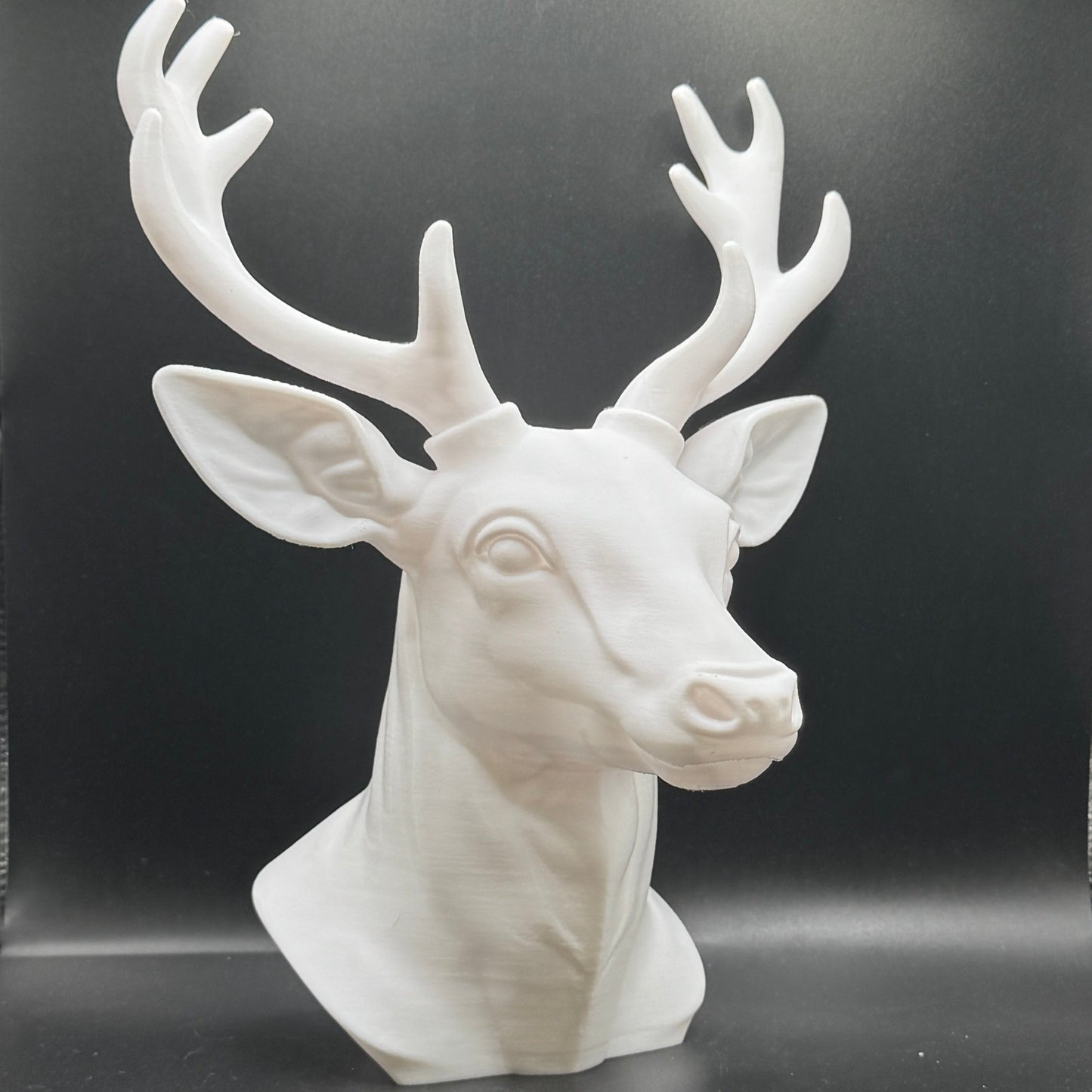 Blank Animal Heads (UNPAINTED)