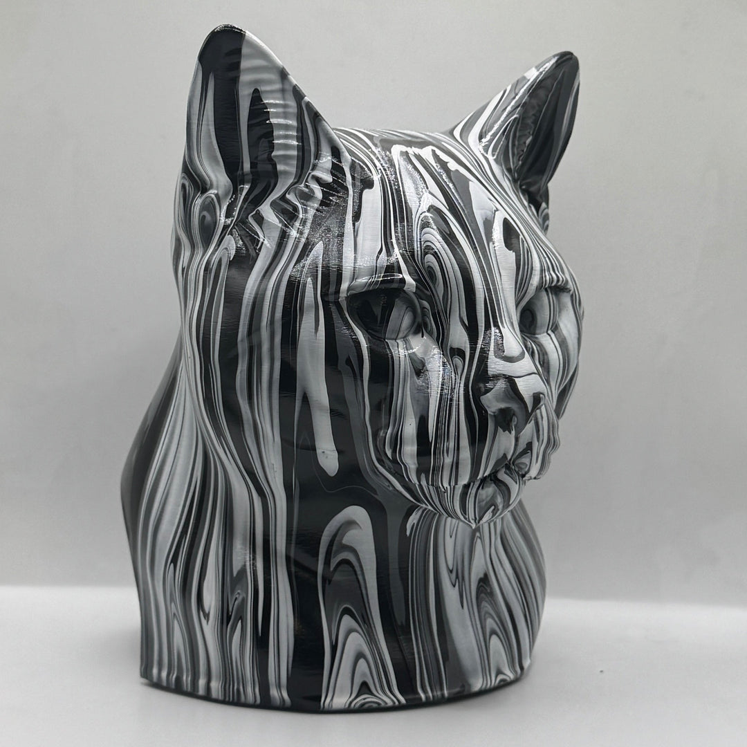 European Shorthair Head – Hand Painted