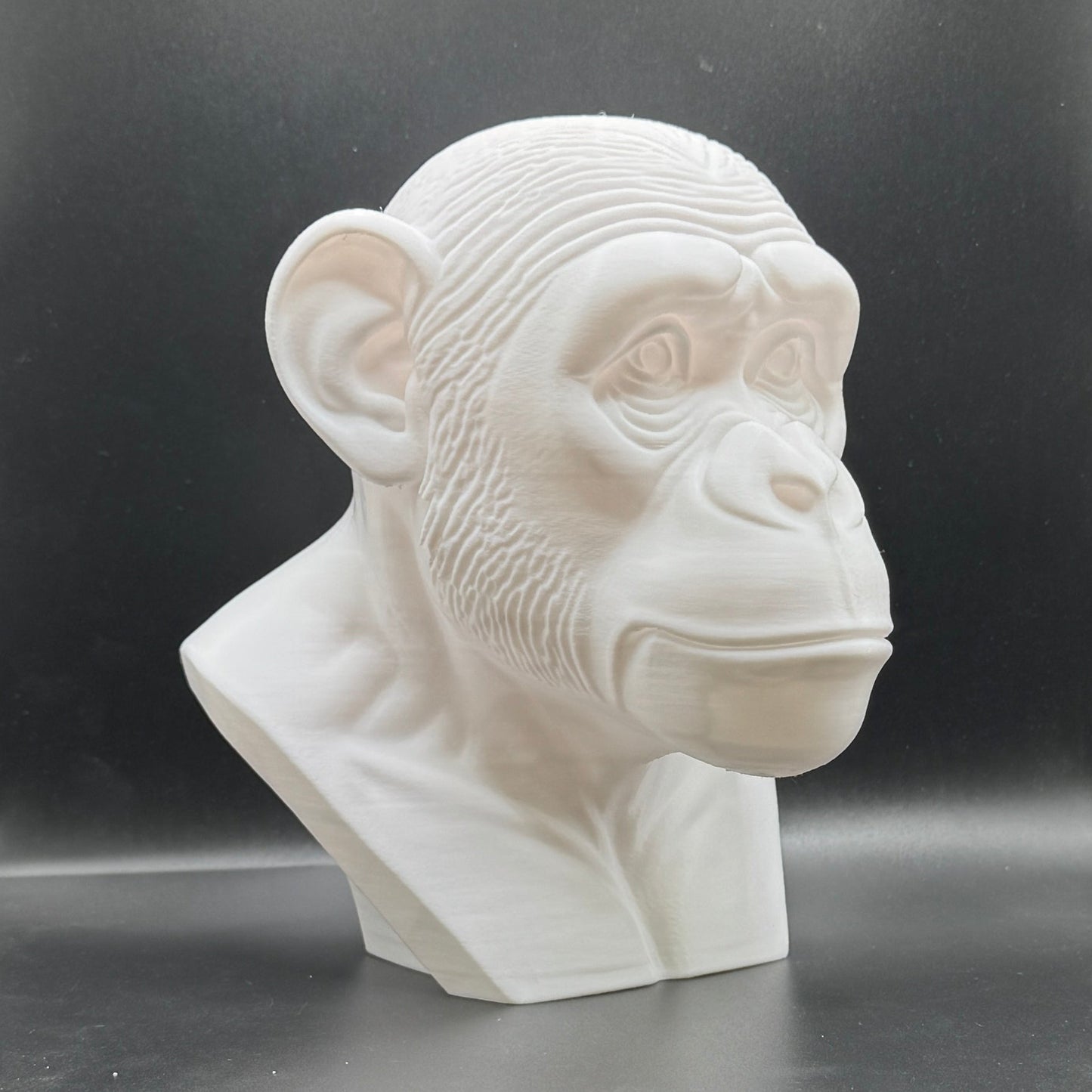 Blank Animal Heads (UNPAINTED)